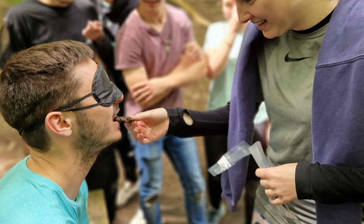 Dégustation d'insectes