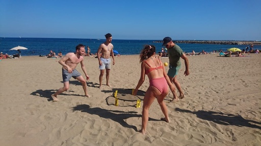 Spikeball