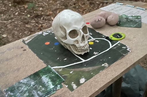 Course d'orientation