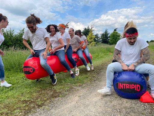 Epreuves du 100m bondissant