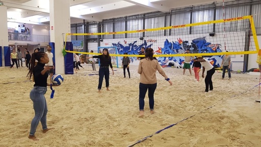 Volley Ball